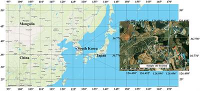 Microscopic observation of a liquid-liquid-(semi)solid phase in polluted PM2.5